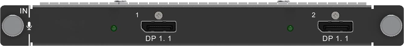 H_2xDP1.1 input card