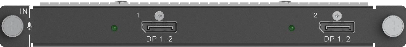 H_2xDP1.2 input card