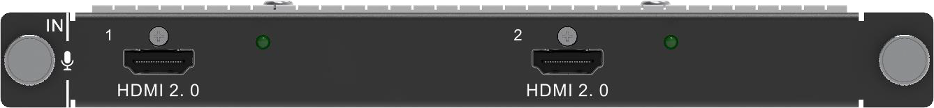 H_2xHDMI2.0 input card